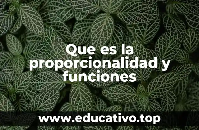 Que es la proporcionalidad y funciones