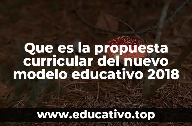 Que es la propuesta curricular del nuevo modelo educativo 2018
