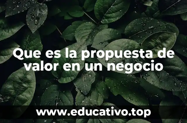 Que es la propuesta de valor en un negocio