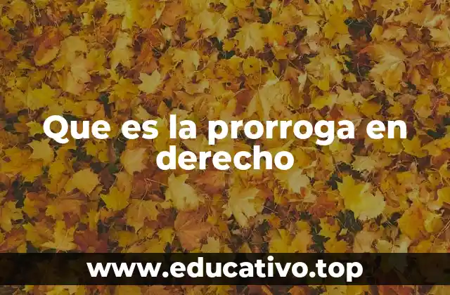 Que es la prorroga en derecho
