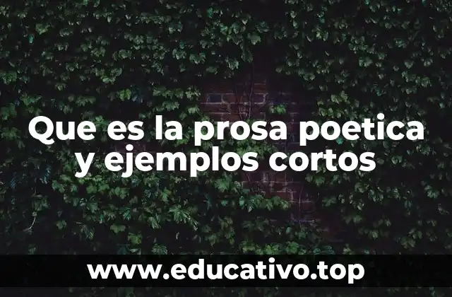Que es la prosa poetica y ejemplos cortos