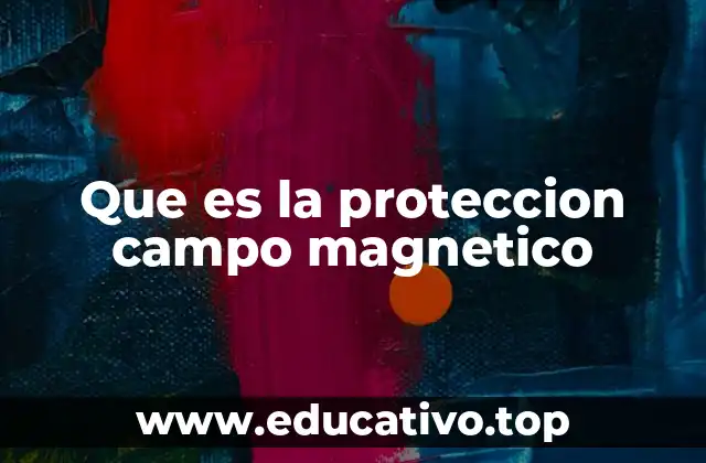 Que es la proteccion campo magnetico