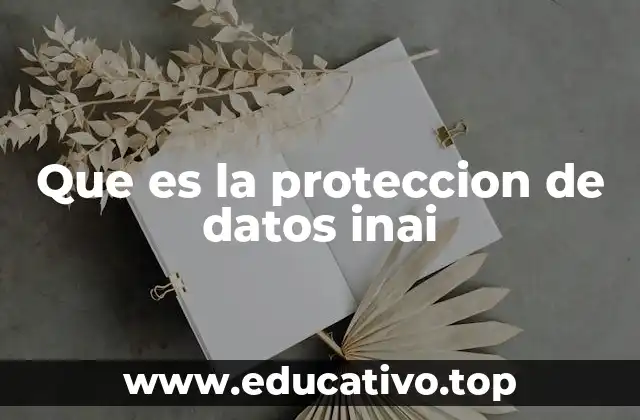 Que es la proteccion de datos inai