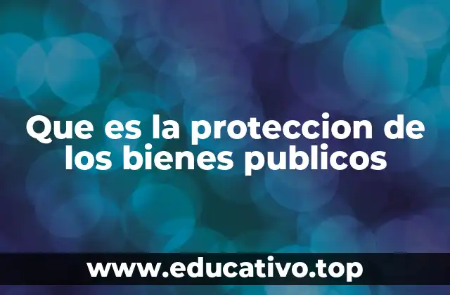 Que es la proteccion de los bienes publicos
