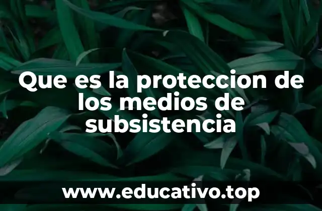 Que es la proteccion de los medios de subsistencia