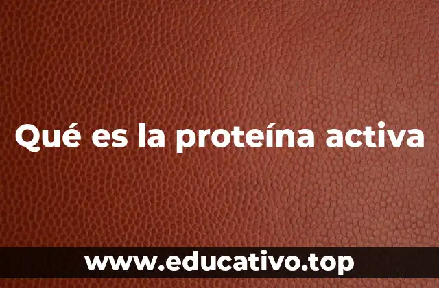 Qué es la proteína activa