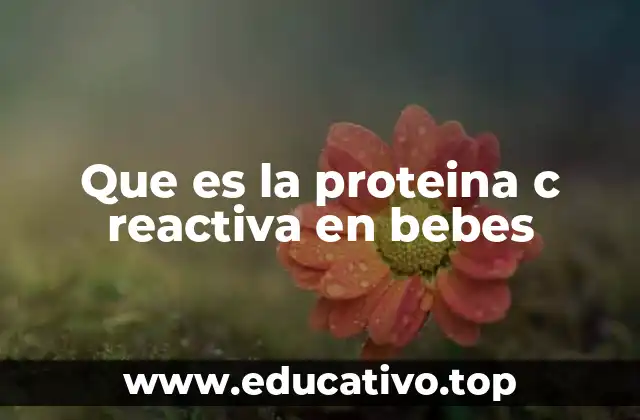 Que es la proteina c reactiva en bebes