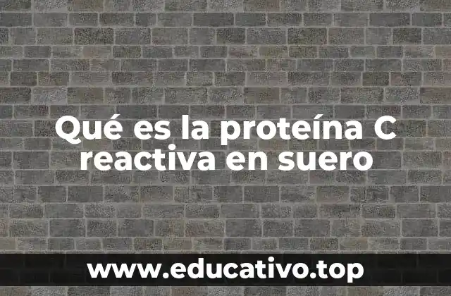 Qué es la proteína C reactiva en suero