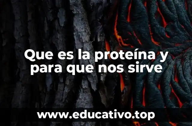 Que es la proteína y para que nos sirve