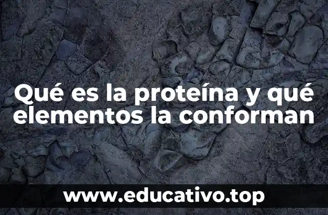 Qué es la proteína y qué elementos la conforman