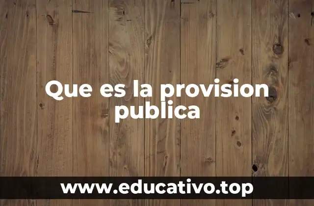 Que es la provision publica