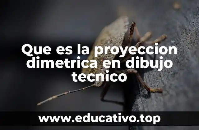 Que es la proyeccion dimetrica en dibujo tecnico