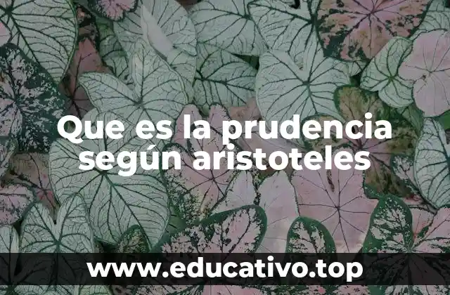 Que es la prudencia según aristoteles