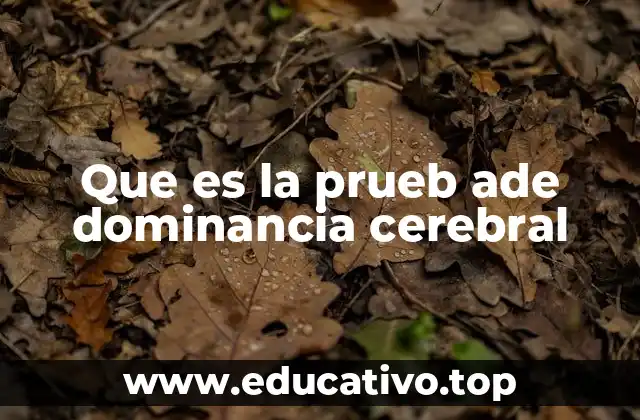 Que es la prueb ade dominancia cerebral