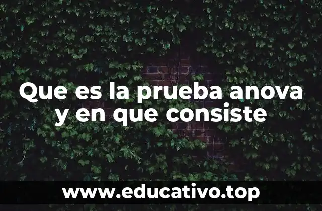 Que es la prueba anova y en que consiste