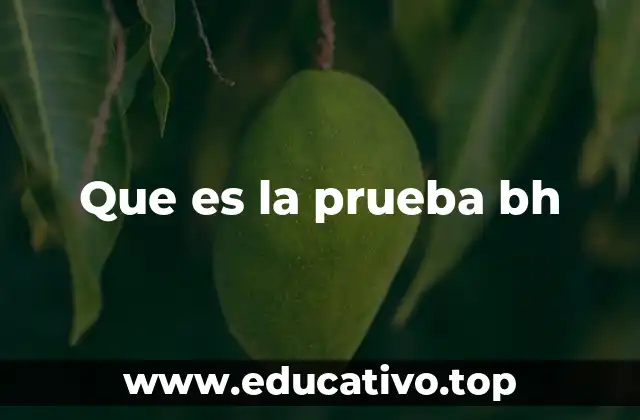 Que es la prueba bh