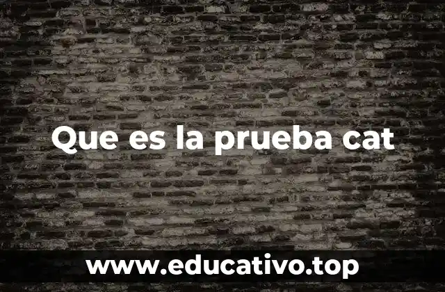 Que es la prueba cat