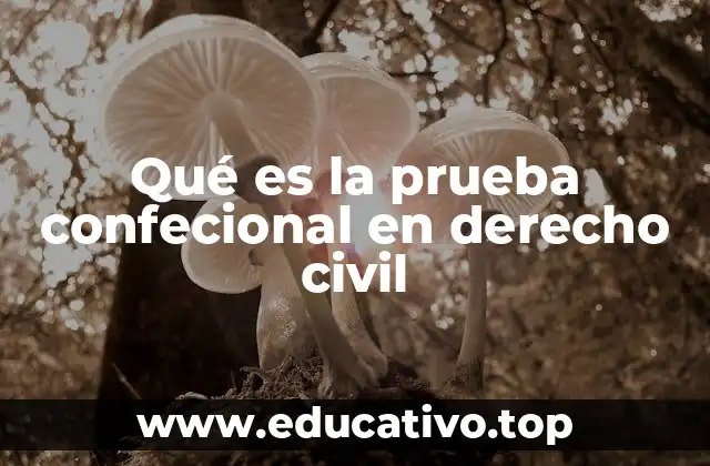 Qué es la prueba confecional en derecho civil