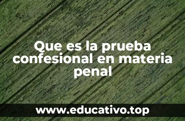 Que es la prueba confesional en materia penal