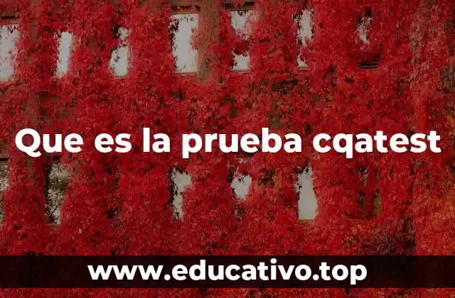 Que es la prueba cqatest
