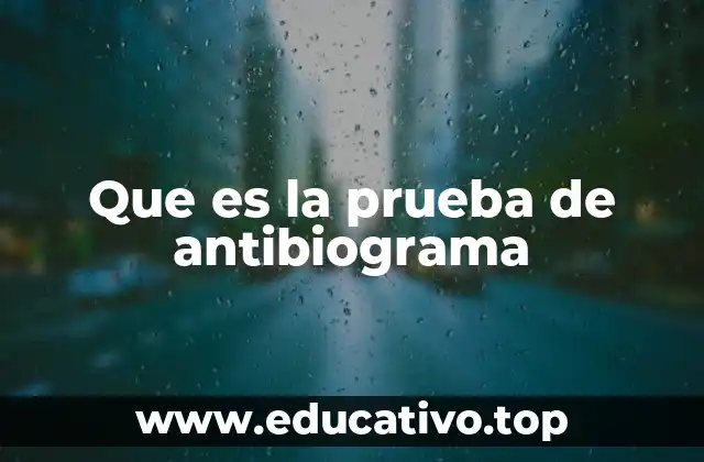 Que es la prueba de antibiograma