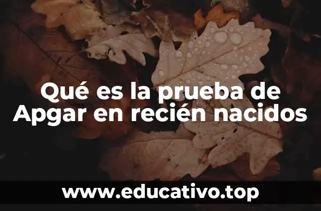 Qué es la prueba de Apgar en recién nacidos