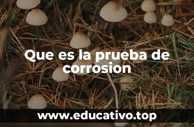 Que es la prueba de corrosion