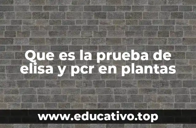 Que es la prueba de elisa y pcr en plantas
