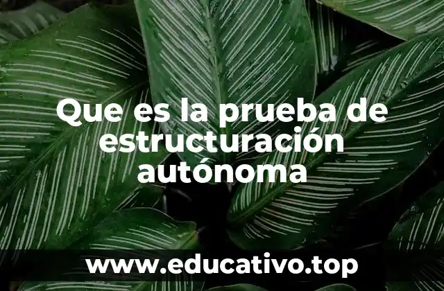 Que es la prueba de estructuración autónoma