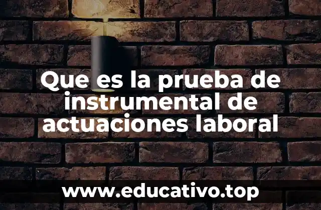 Que es la prueba de instrumental de actuaciones laboral