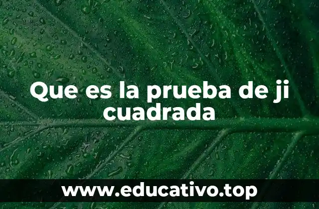 Que es la prueba de ji cuadrada