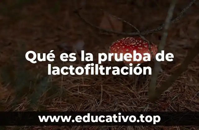 Qué es la prueba de lactofiltración