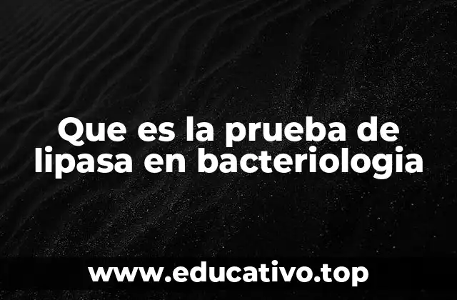 Que es la prueba de lipasa en bacteriologia