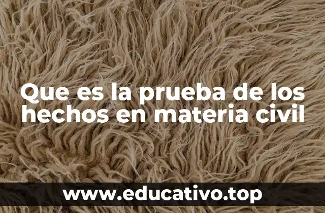 Que es la prueba de los hechos en materia civil