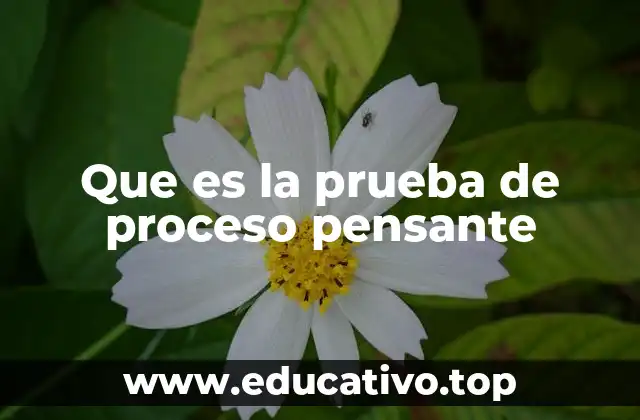 Que es la prueba de proceso pensante