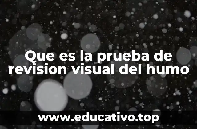 Que es la prueba de revision visual del humo