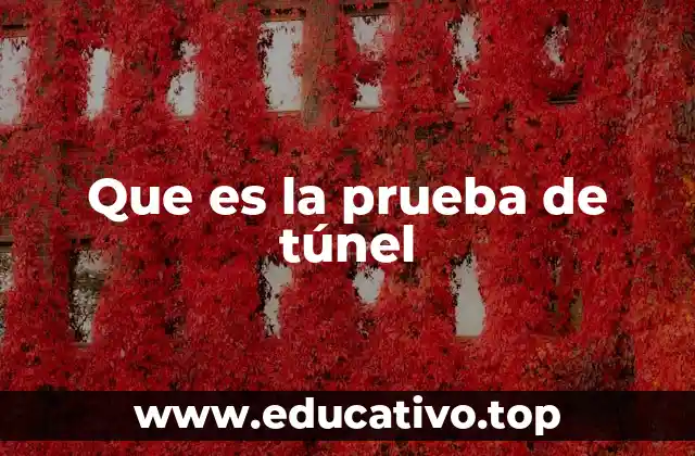 Que es la prueba de túnel