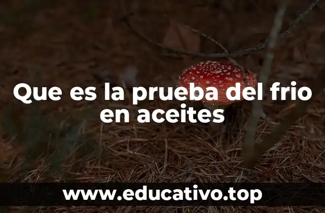 Que es la prueba del frio en aceites