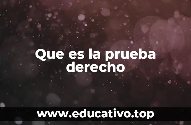 Que es la prueba derecho