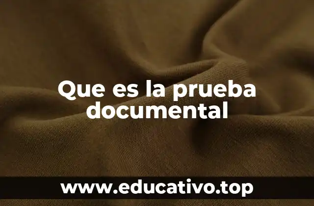 Que es la prueba documental