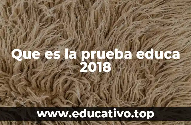 Que es la prueba educa 2018