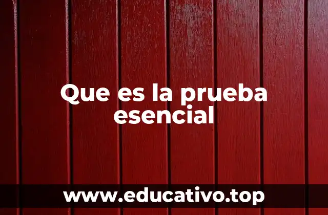Que es la prueba esencial
