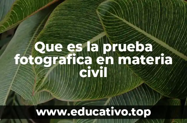 Que es la prueba fotografica en materia civil