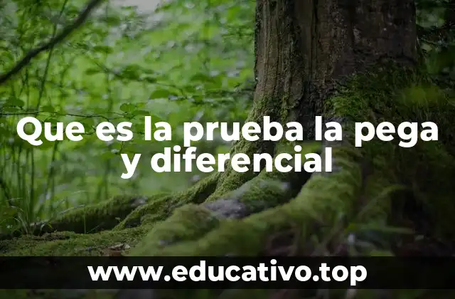 Que es la prueba la pega y diferencial