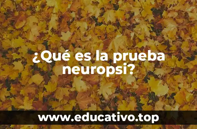 ¿Qué es la prueba neuropsi?