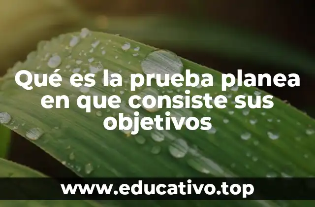 Qué es la prueba planea en que consiste sus objetivos