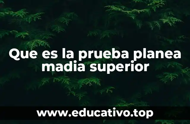 El papel de las evaluaciones en la educación media superior