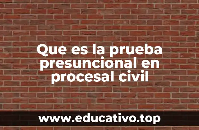 Que es la prueba presuncional en procesal civil