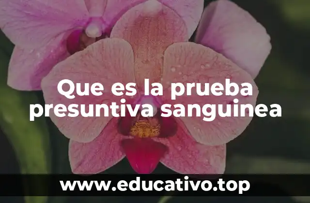 Que es la prueba presuntiva sanguinea