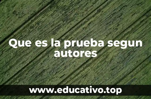 Que es la prueba segun autores